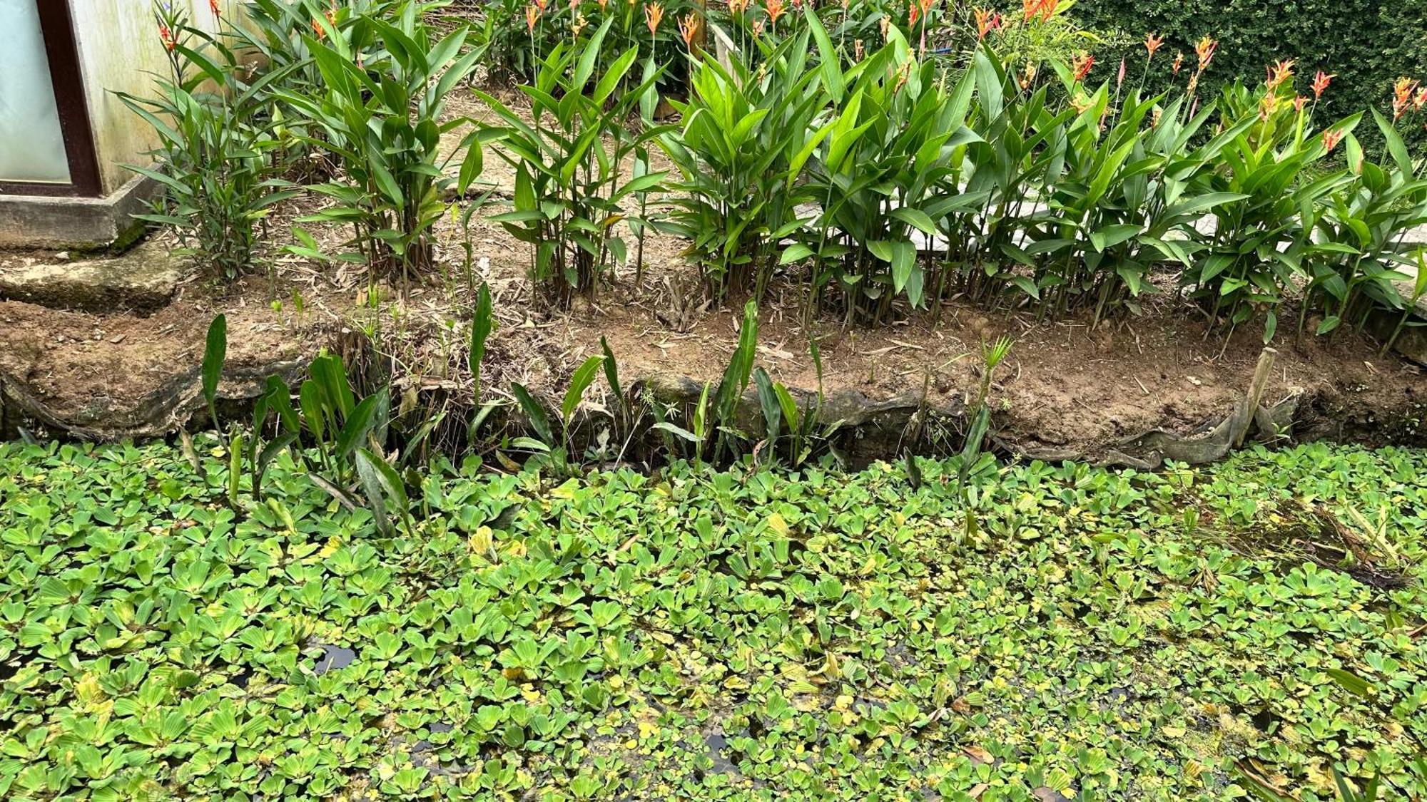Hide Away Bungalows In Ben Tre City Экстерьер фото
